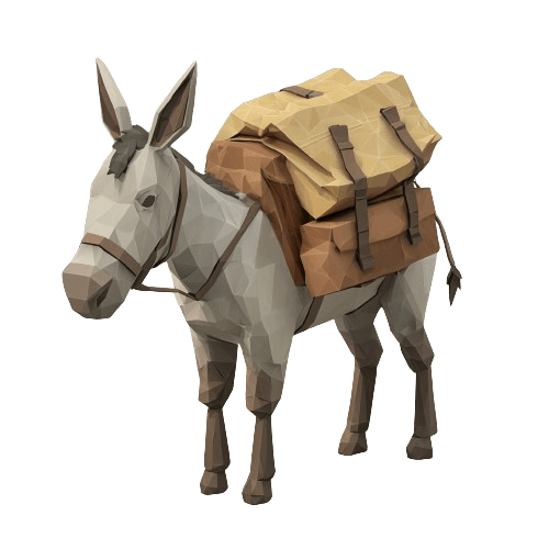 DONKEY